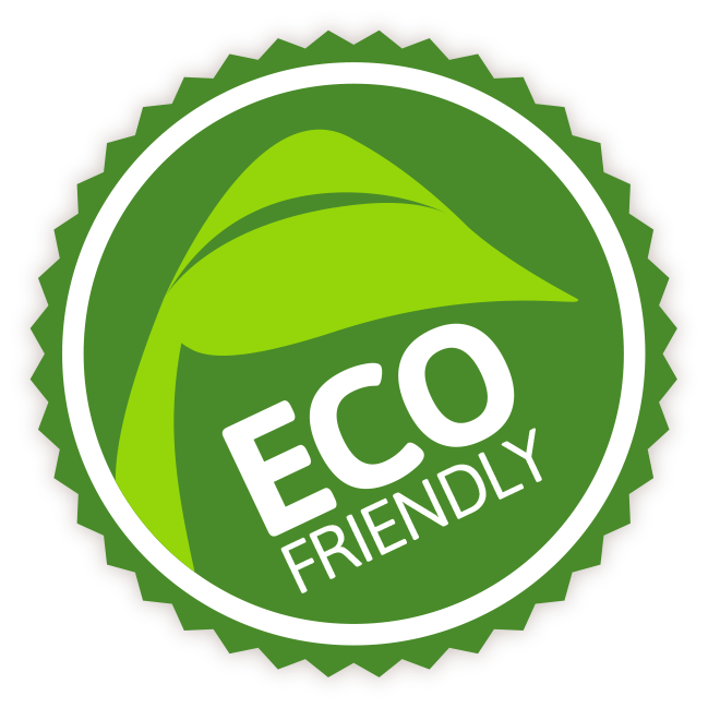 Eco Friendly Seedlings Academy Ft Myers Preschool thru VPK