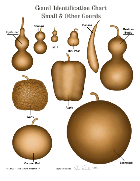 Gourd Seed List