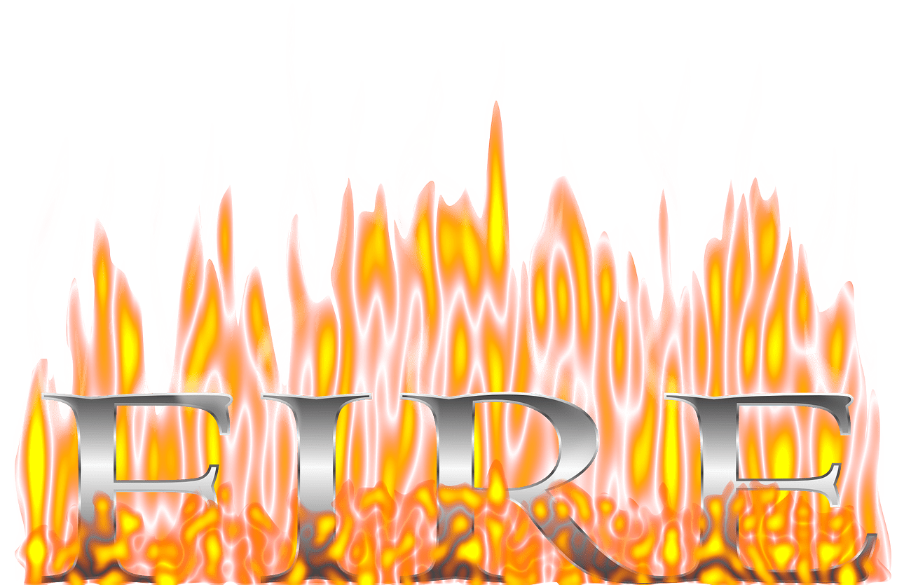 Best AntiInflammatory Foods To Combat Aging Seed Supplements