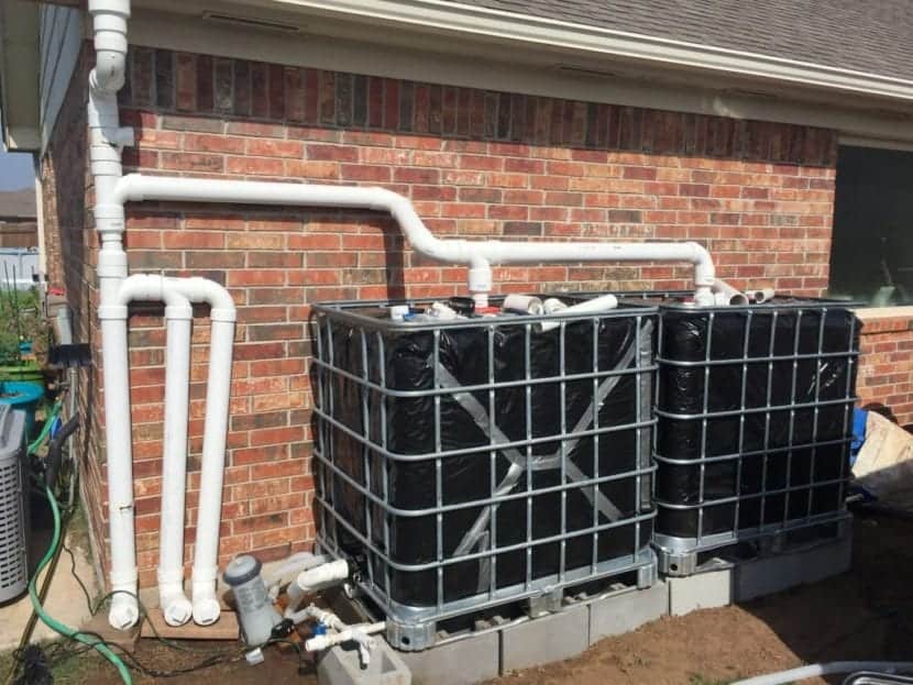 Details on our DIY IBC Tote 550 Gallon Rainwater Storage From Seed to