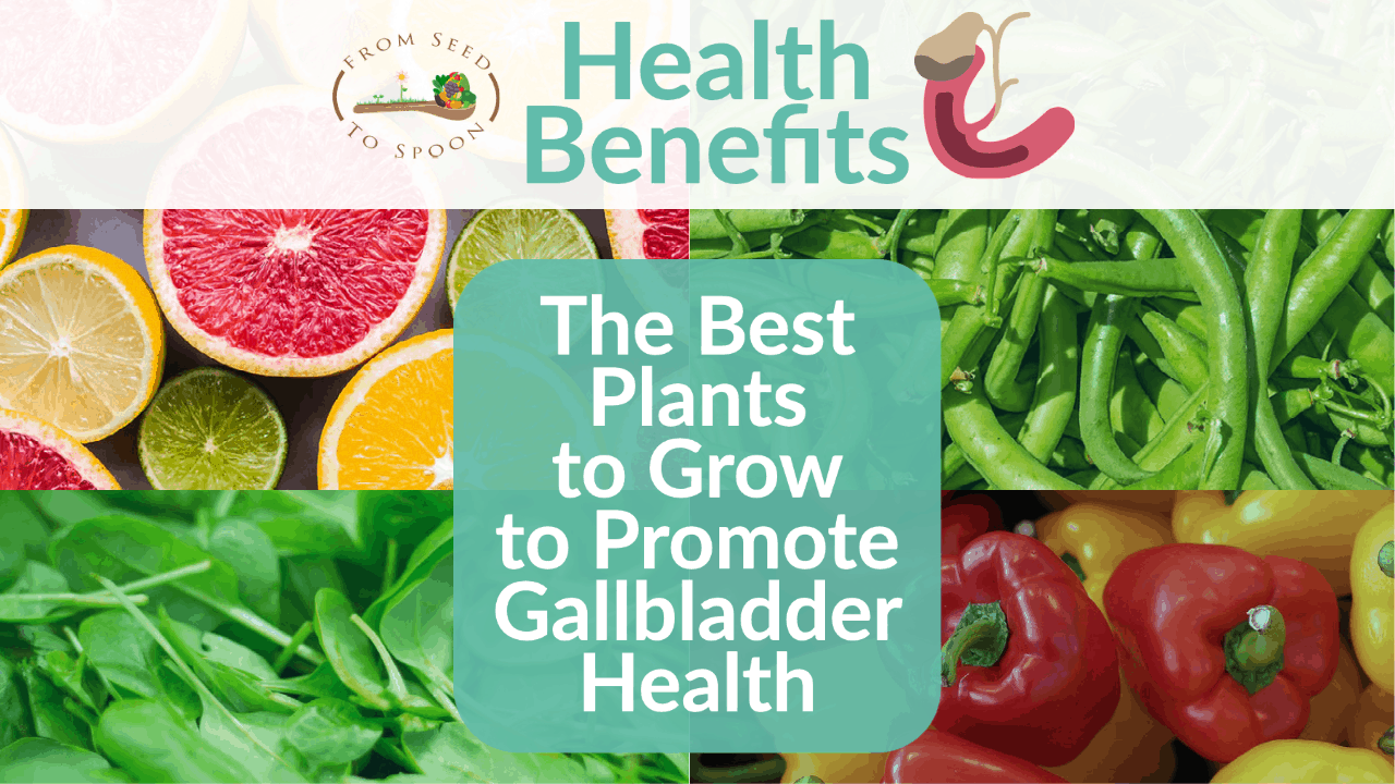 Top 5 Plants to Grow For Gallbladder Health From Seed to Spoon Vegetable Garden Planner Mobile App
