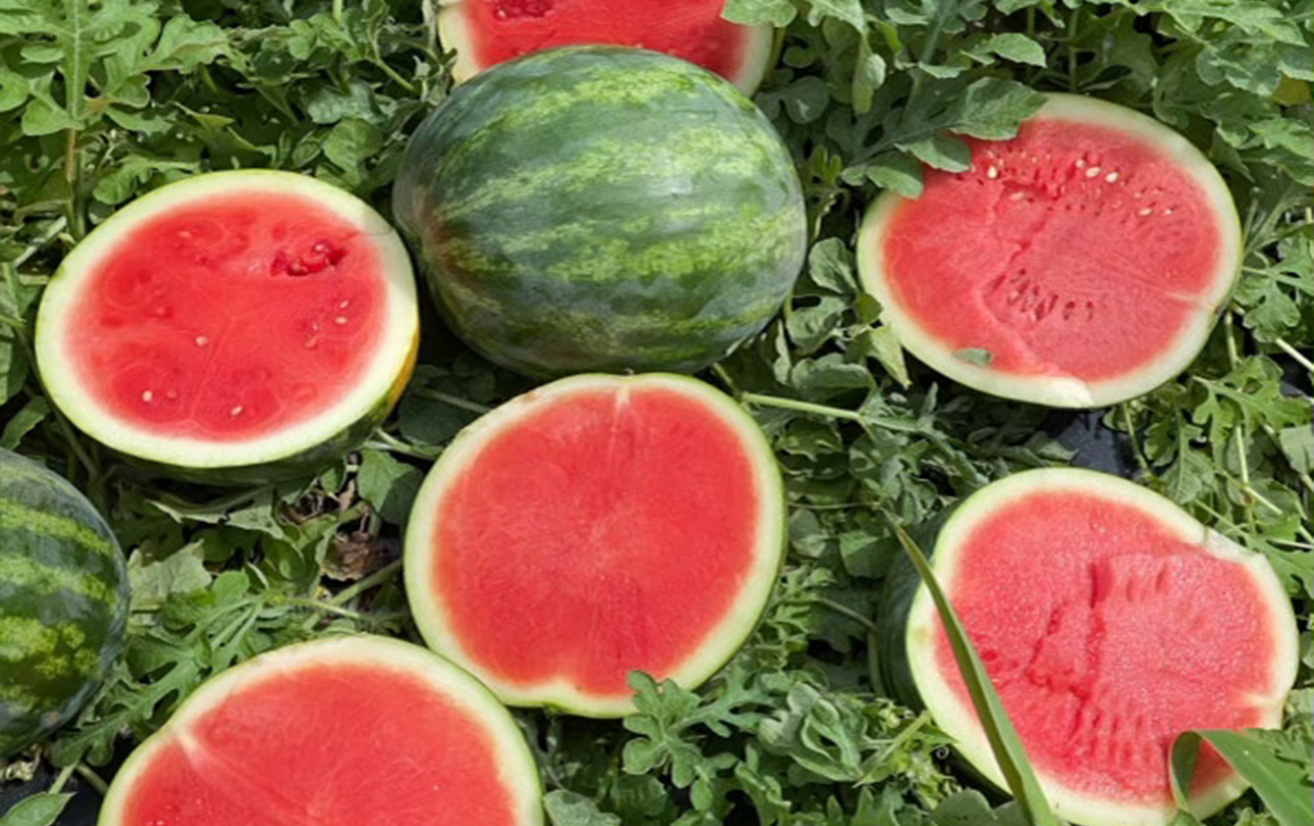 Different Watermelon Colors