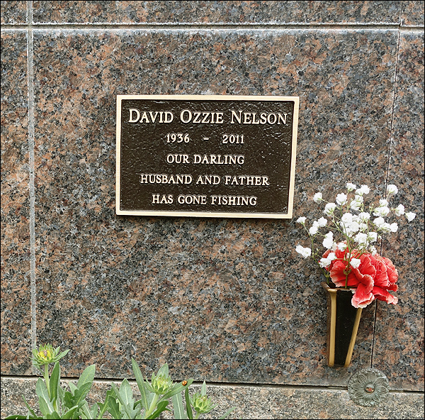 David Nelson's grave (photo)