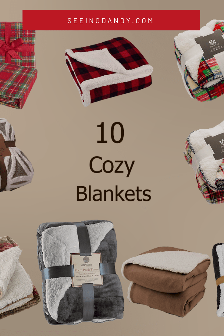 10 Cozy Blankets Perfect For Holiday Gift Giving Seeing Dandy Blog