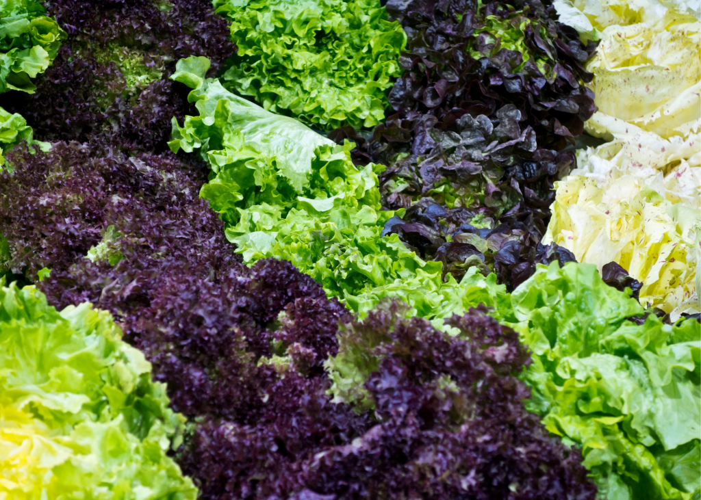 Delicious Low Calorie Snack Ideas Great For Losing Weight Seeing