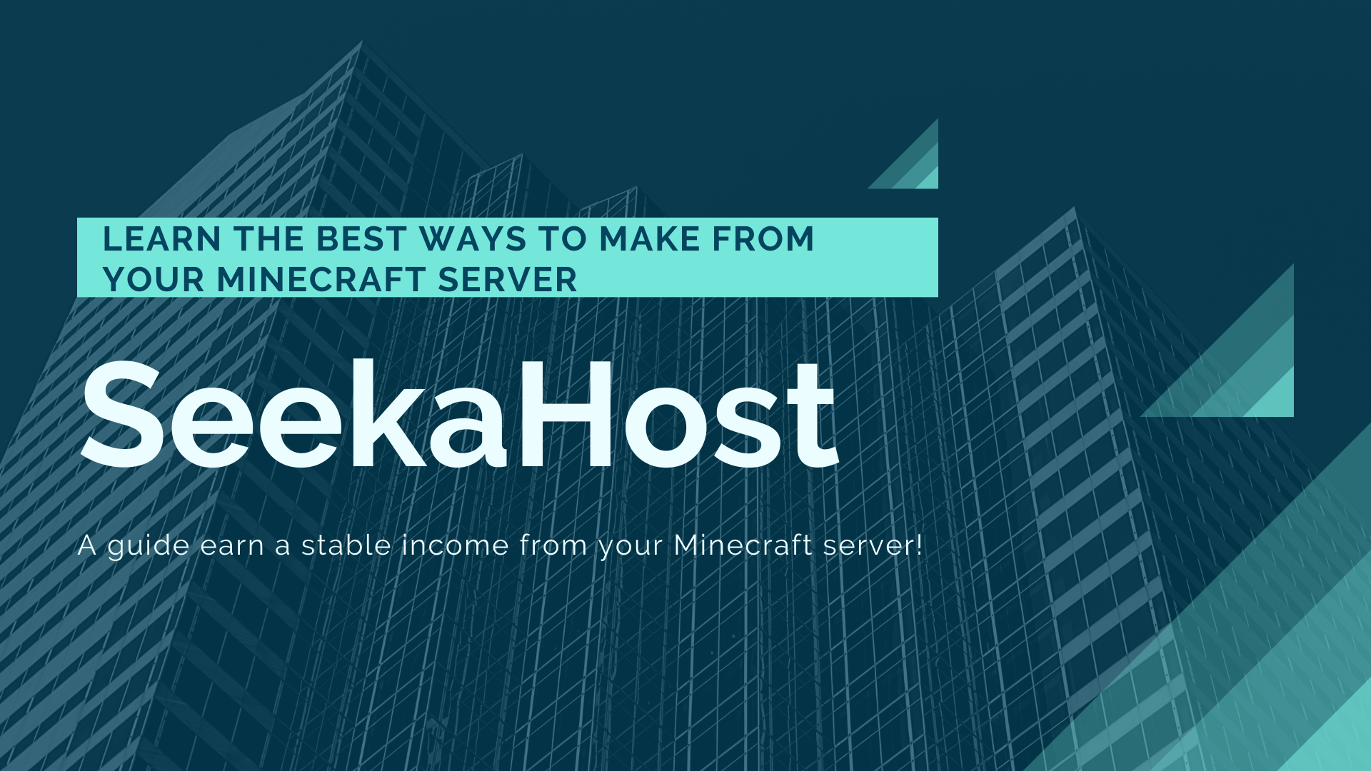 7 Best Ways To Earn Money From Minecraft Server (With Complete Guide