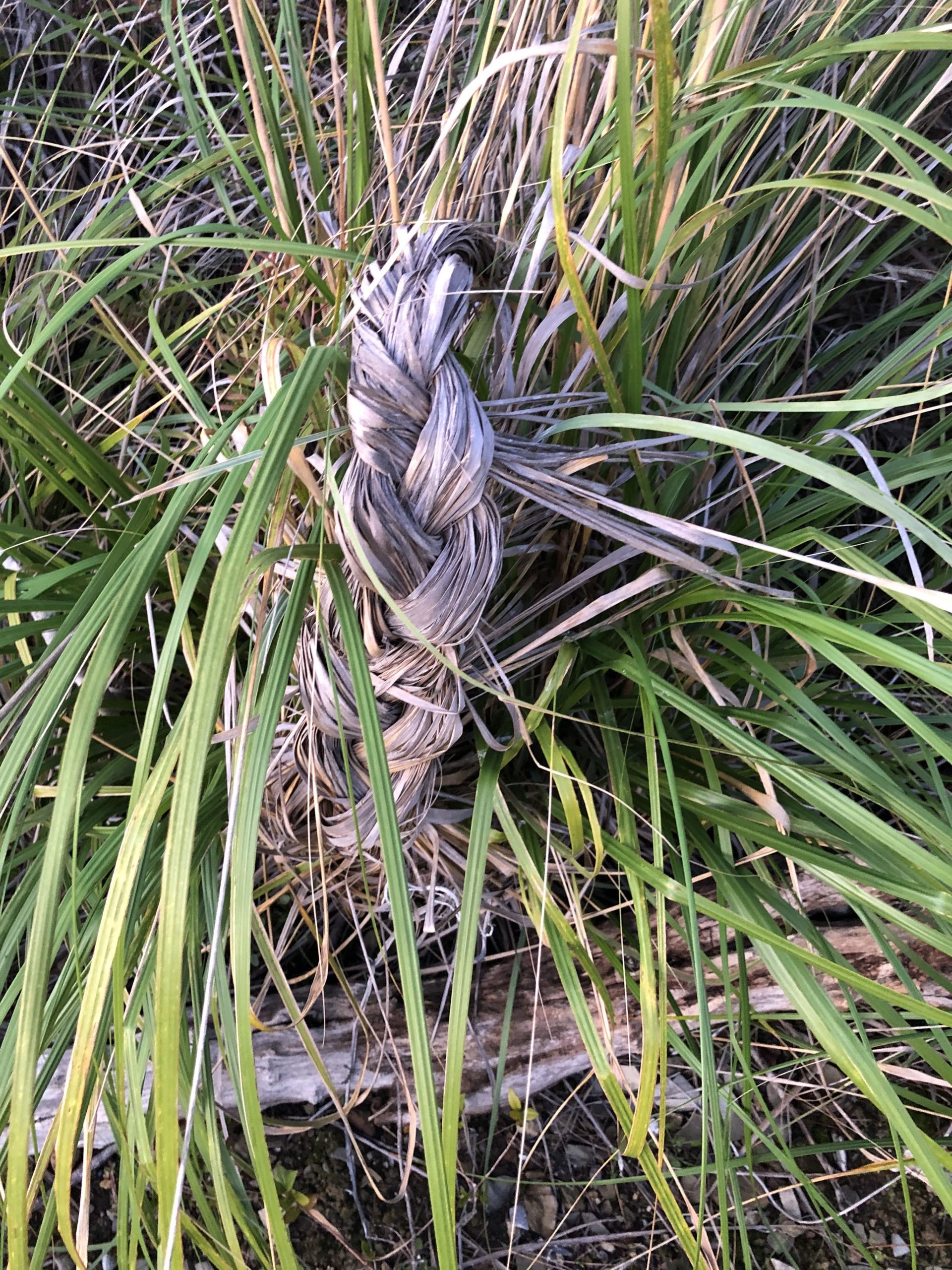 Angebote in der Natur Seele Körper Raum