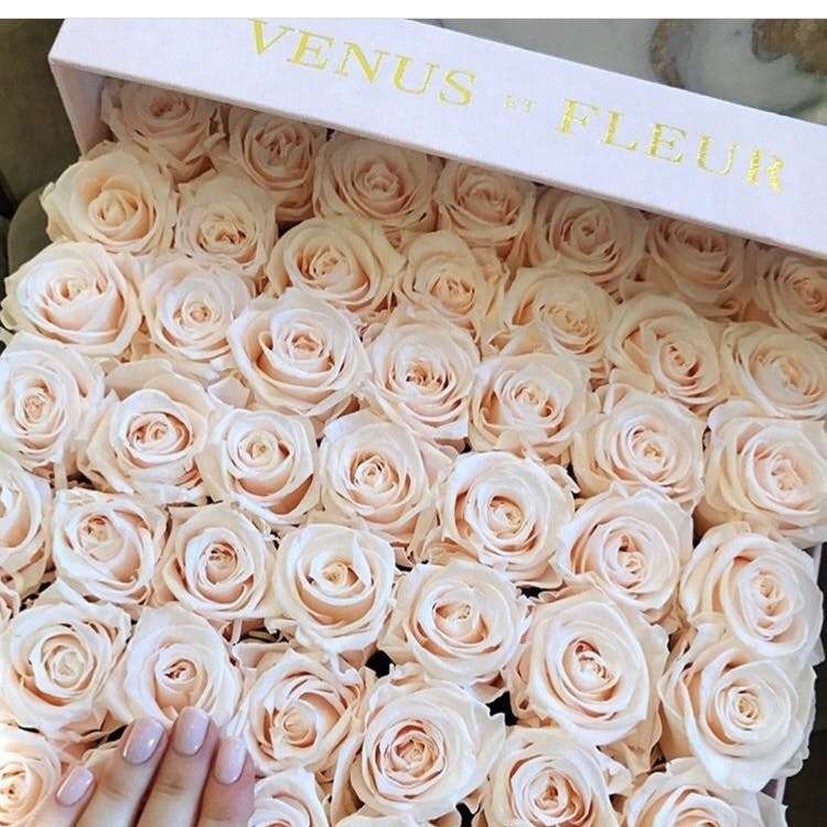 How Do Roses Last a Year? Story of Venus et Fleur SEEMA