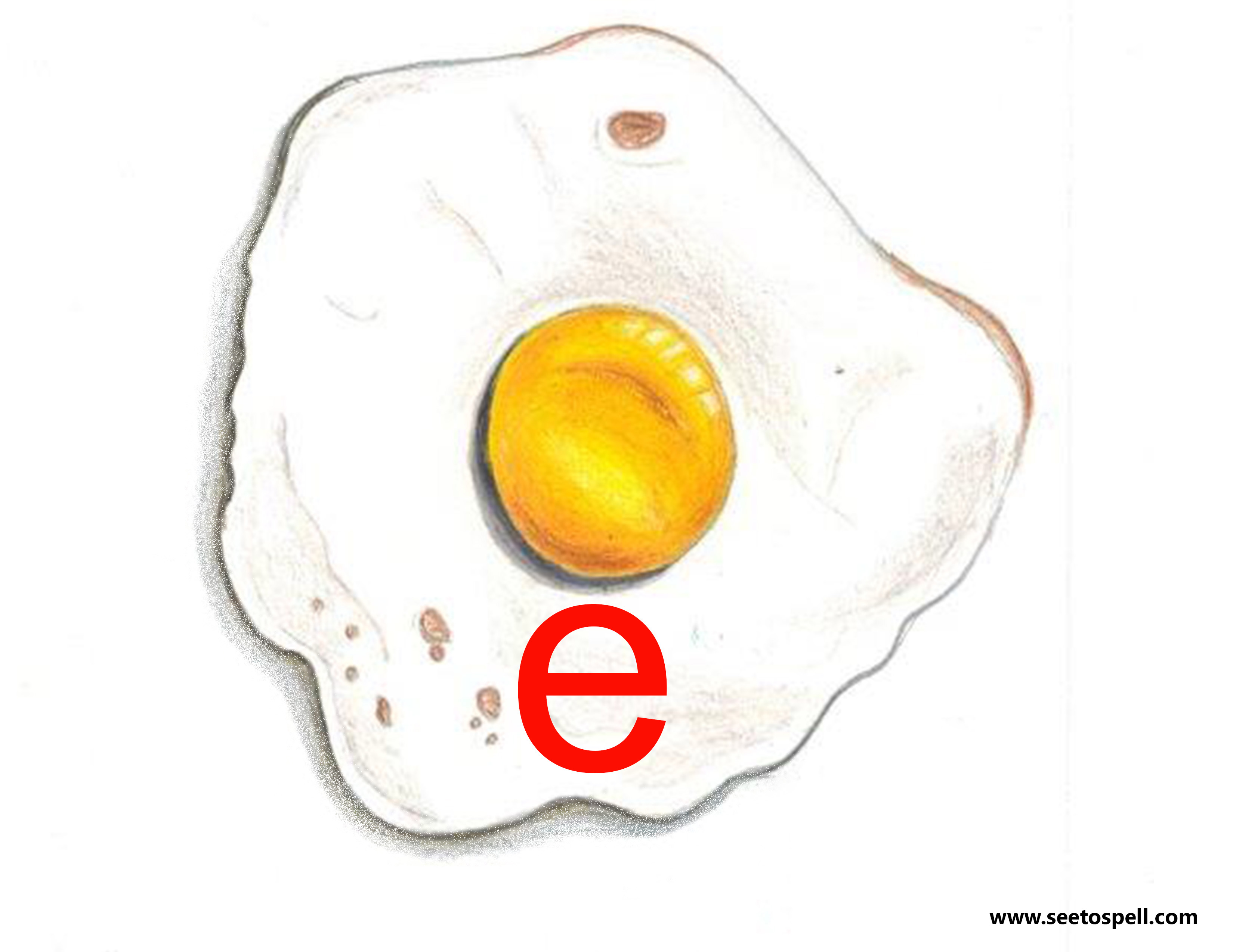 egg