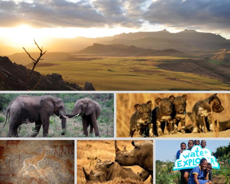 African Conservation Trust Local Is Lekker