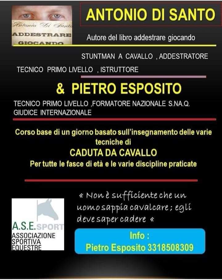 Continua Il Tour Degli Stage Di “Cadute Da Cavallo” - Sef Italia 905_x_720_jpg