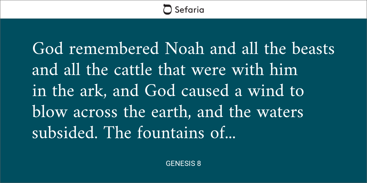 Genesis 8