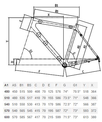 Bianchi Bike Size Chart: A Visual Reference of Charts | Chart Master