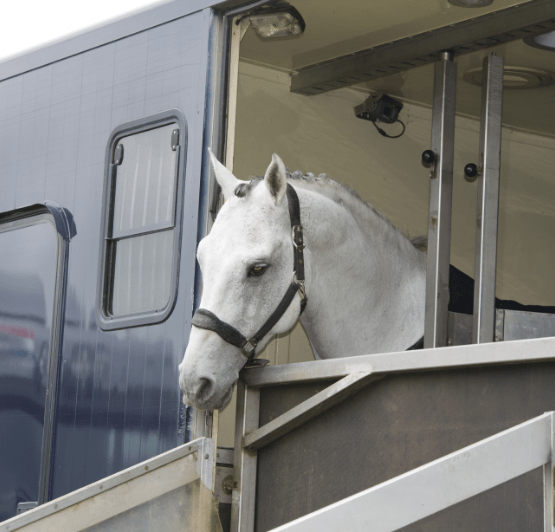 Horse Trailer Buying Guide What You Should Know Southeast Financial