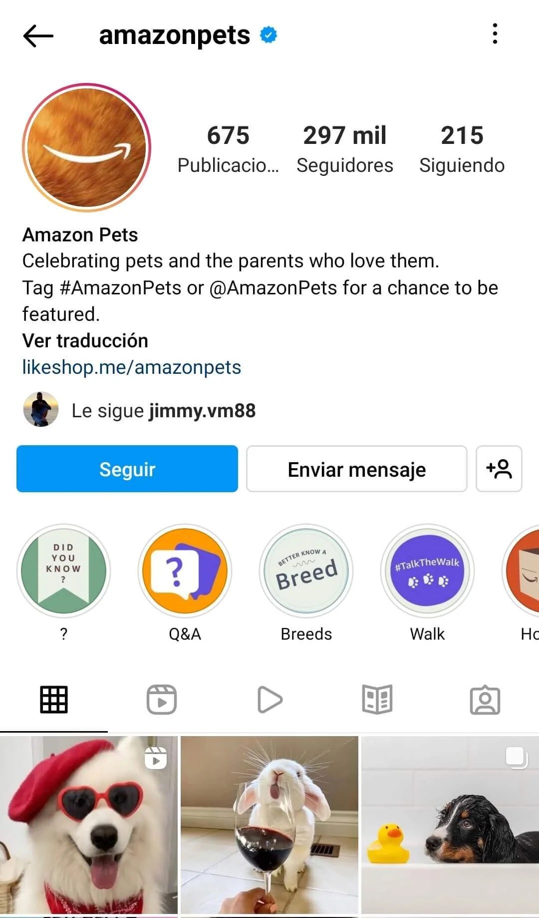 Pet Marketing una tendencia global Segmenta by Merari Montoya