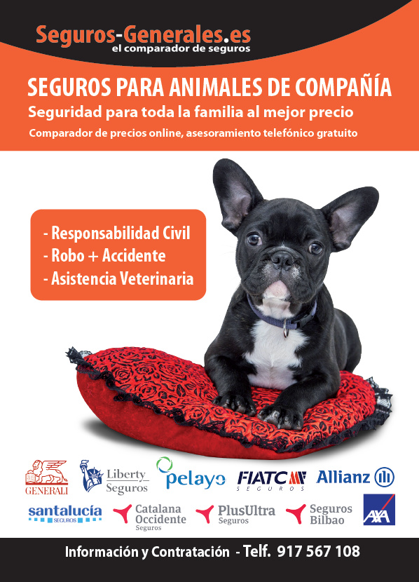 Nueva campaña de promoción de seguros de mascotas iniciada por Seguros