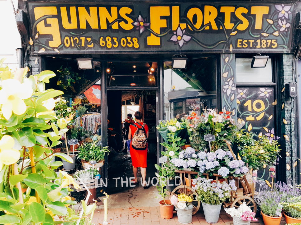 5 Reasons Why Brighton is Amazing to Visit Sehee in the World