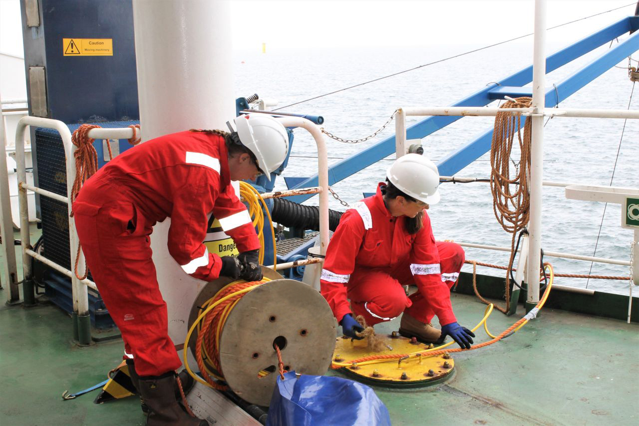 Successful environmental mitigation services programme with Triton