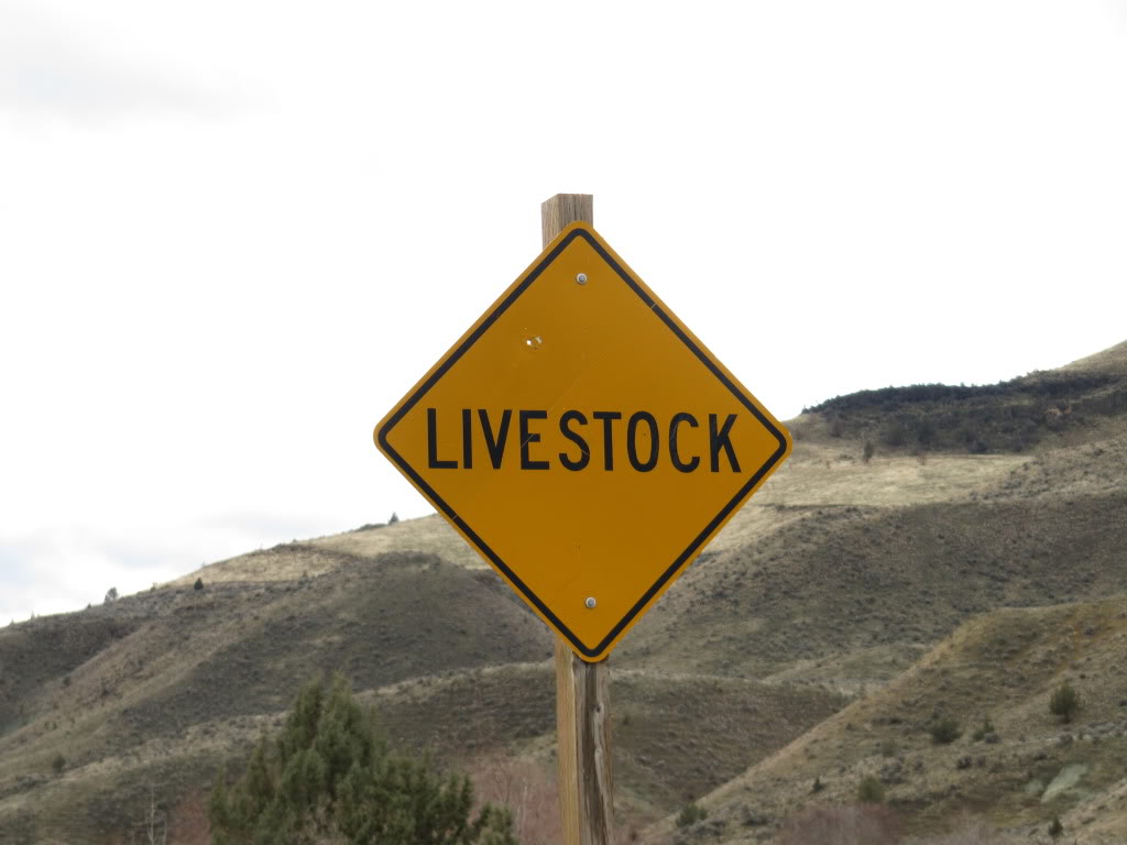 Craigslist Eastern Oregon