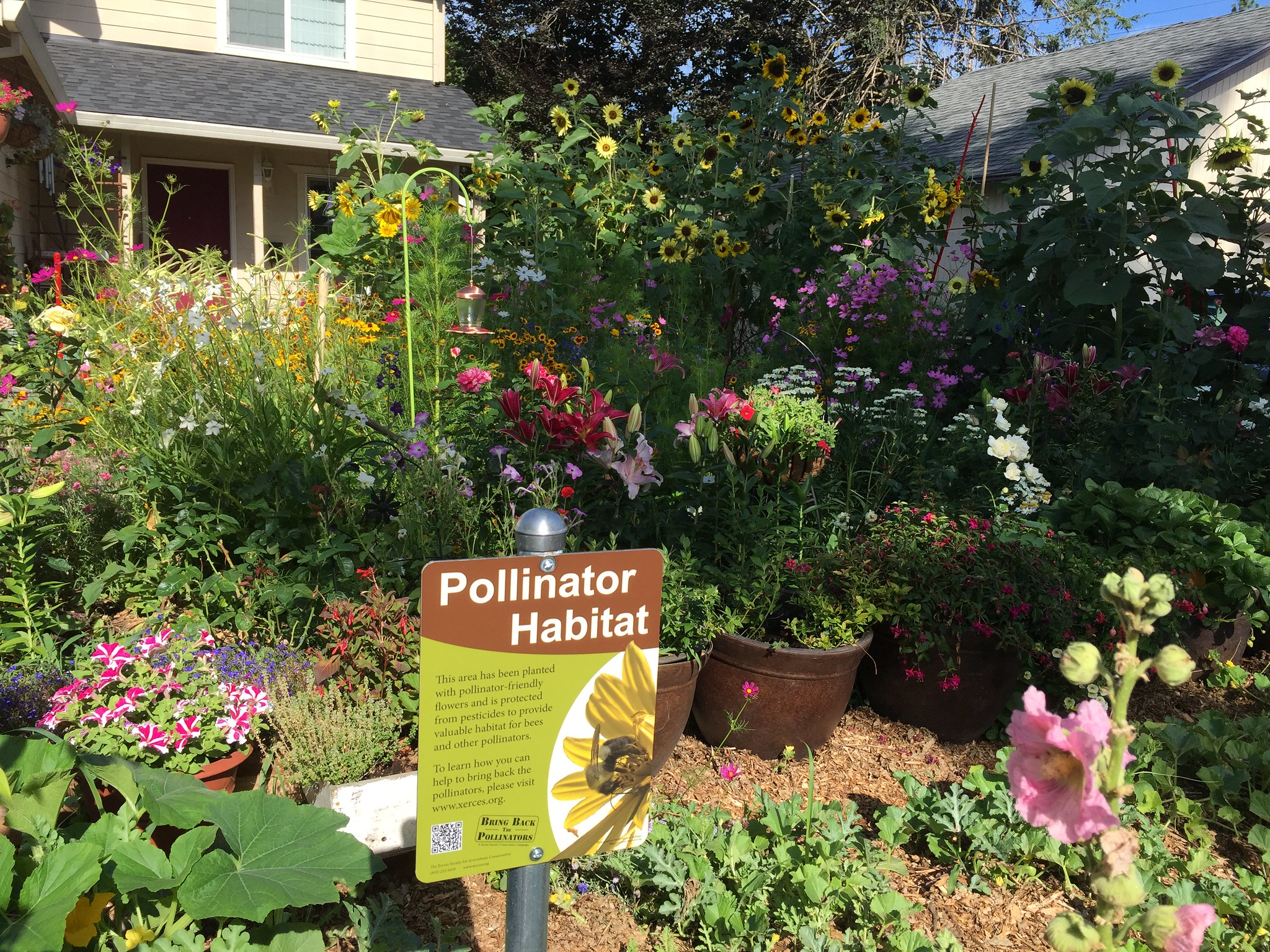 Pollinator Gardens Yield Local Story Possibilities SEJ