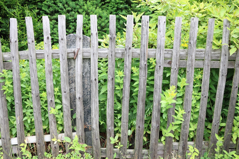 Nutzgarten anlegen in 7 Schritten Anleitung zum