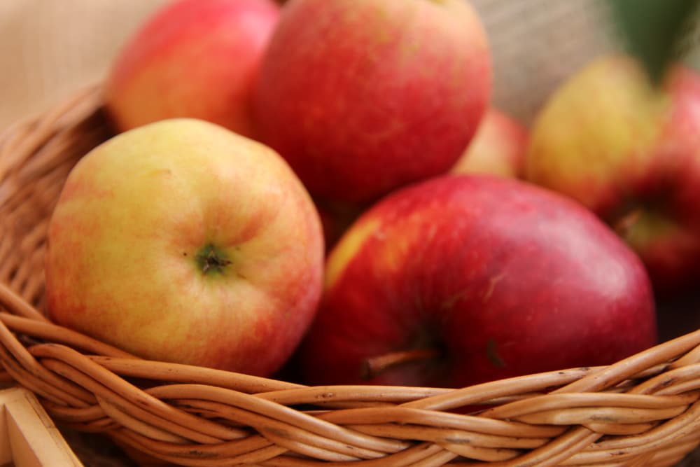 Apfel 'Rewena' Geschmack, Befruchter & Beschreibung
