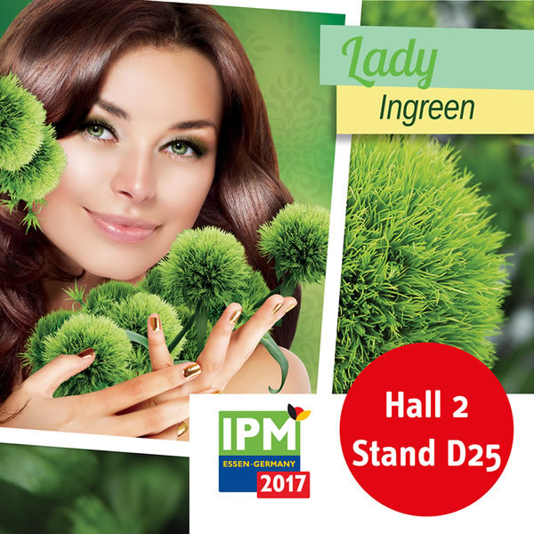 Selecta one present at IPM 2017, with pot plants and for the first time