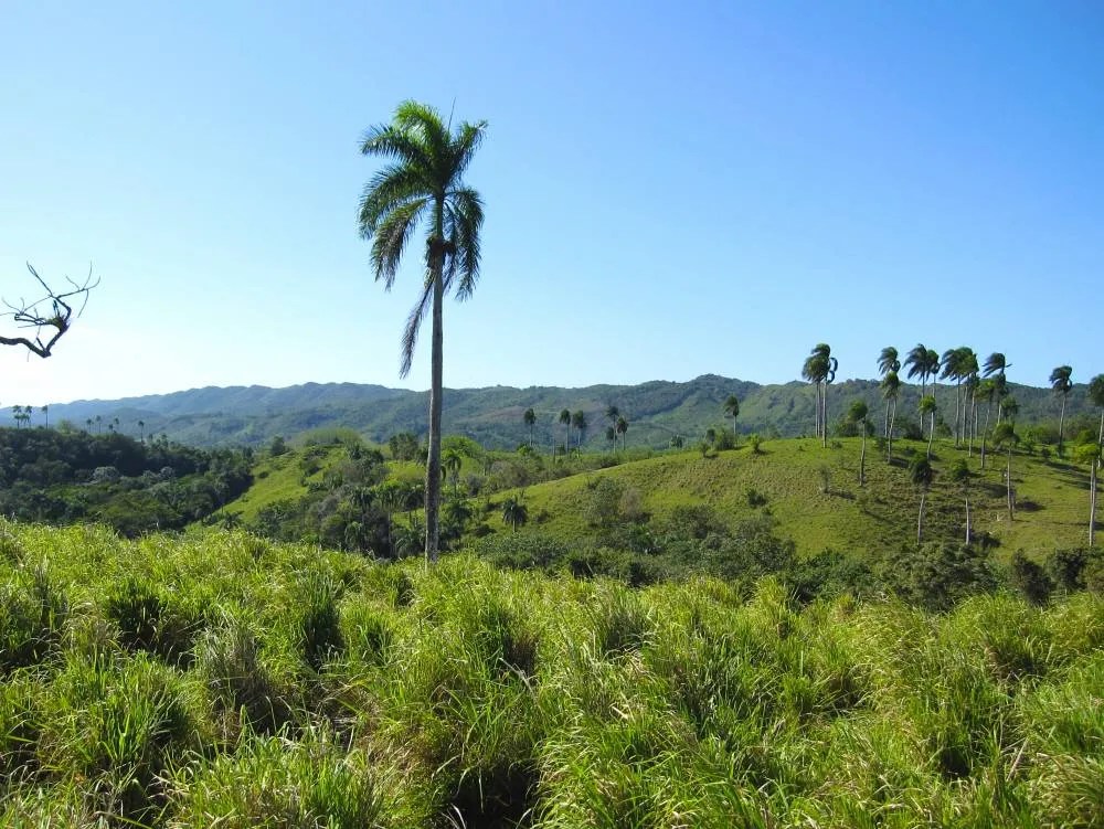 Farm with House For Sale Jamao al Norte Dominican Republic