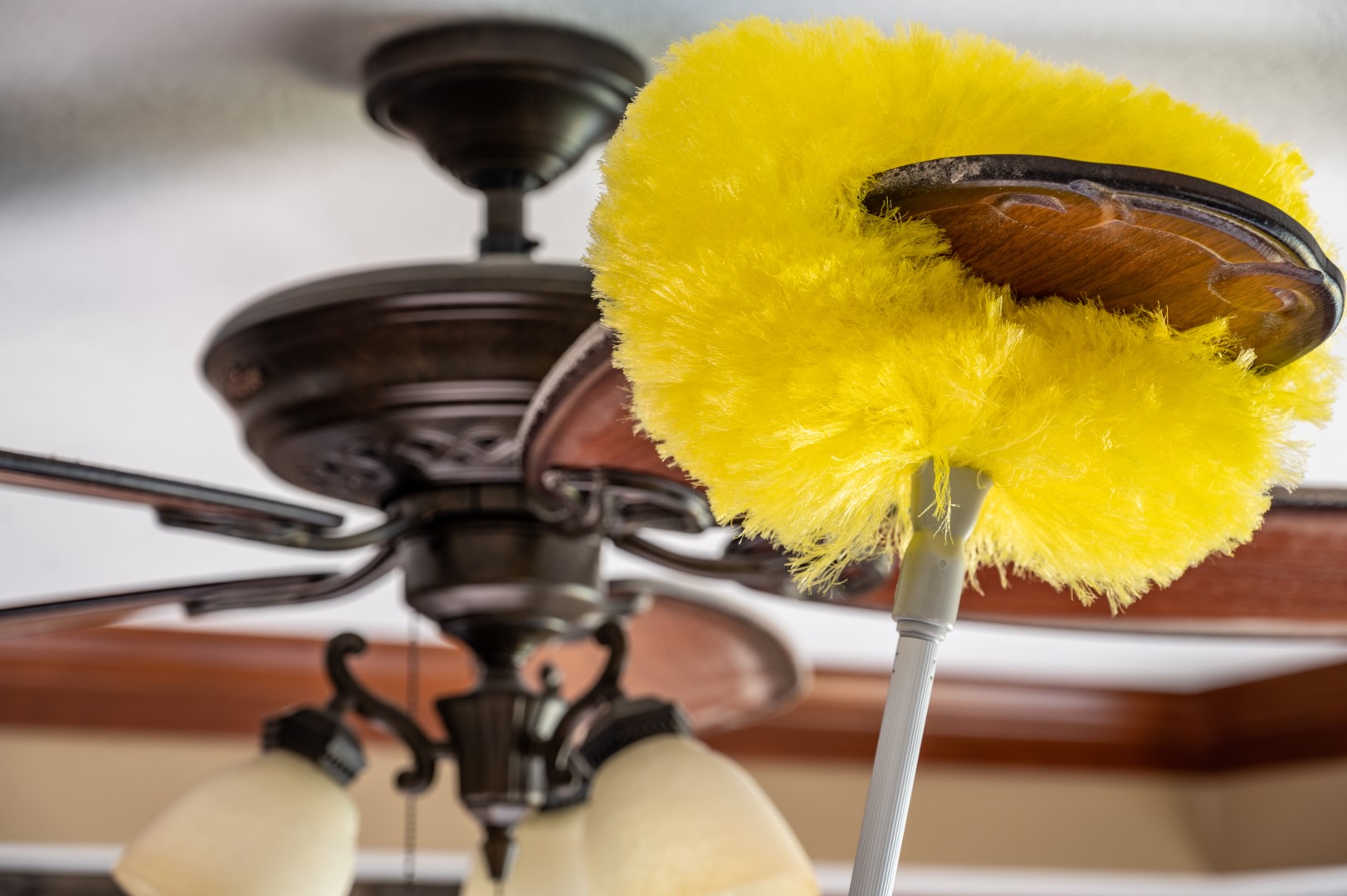 How To Clean & Maintain Your Ceiling Fan SHW Blog