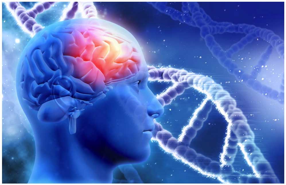 Comment booster les capacités de votre cerveau