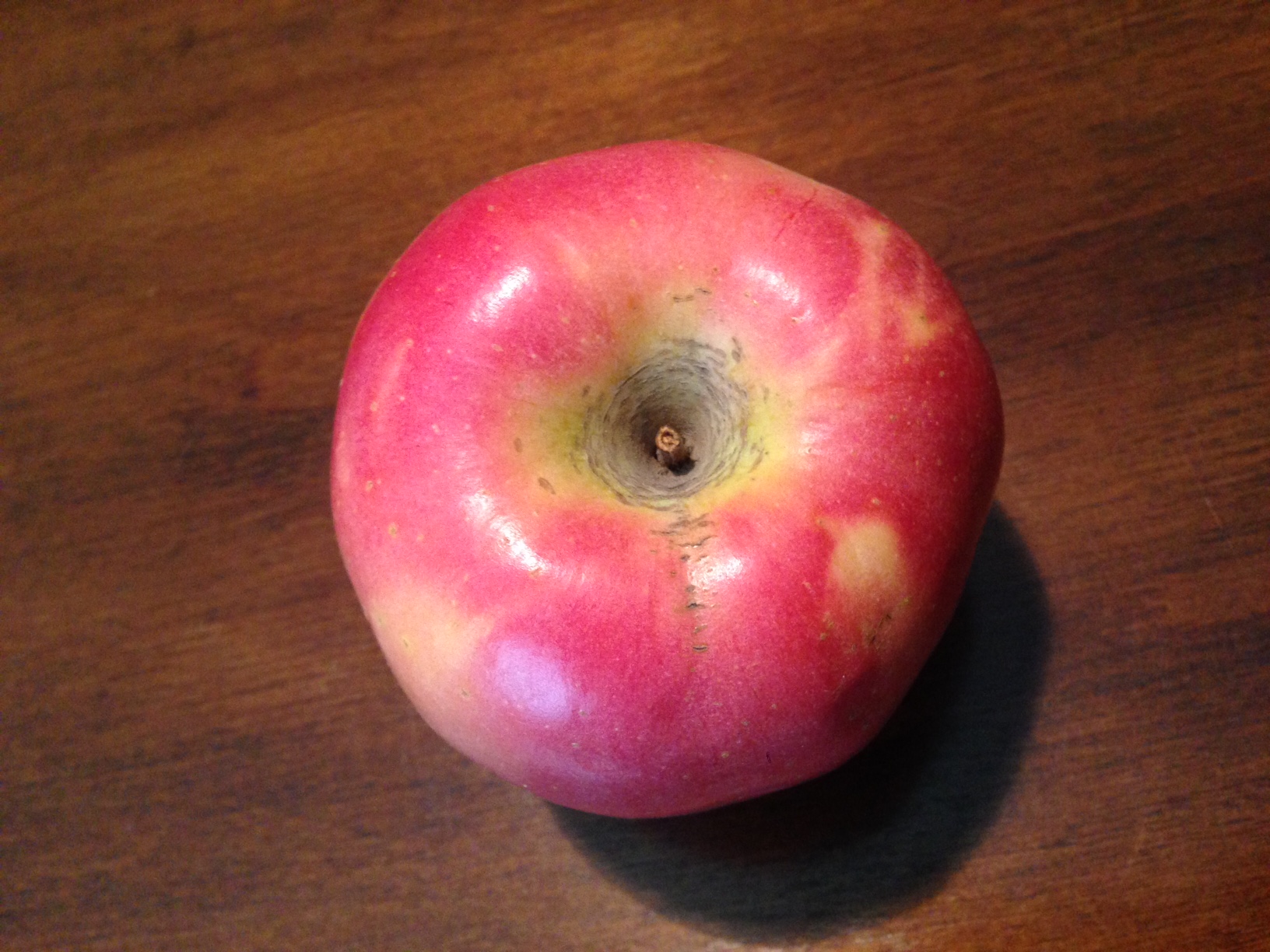 Pacific Rose Apple Selective Elective