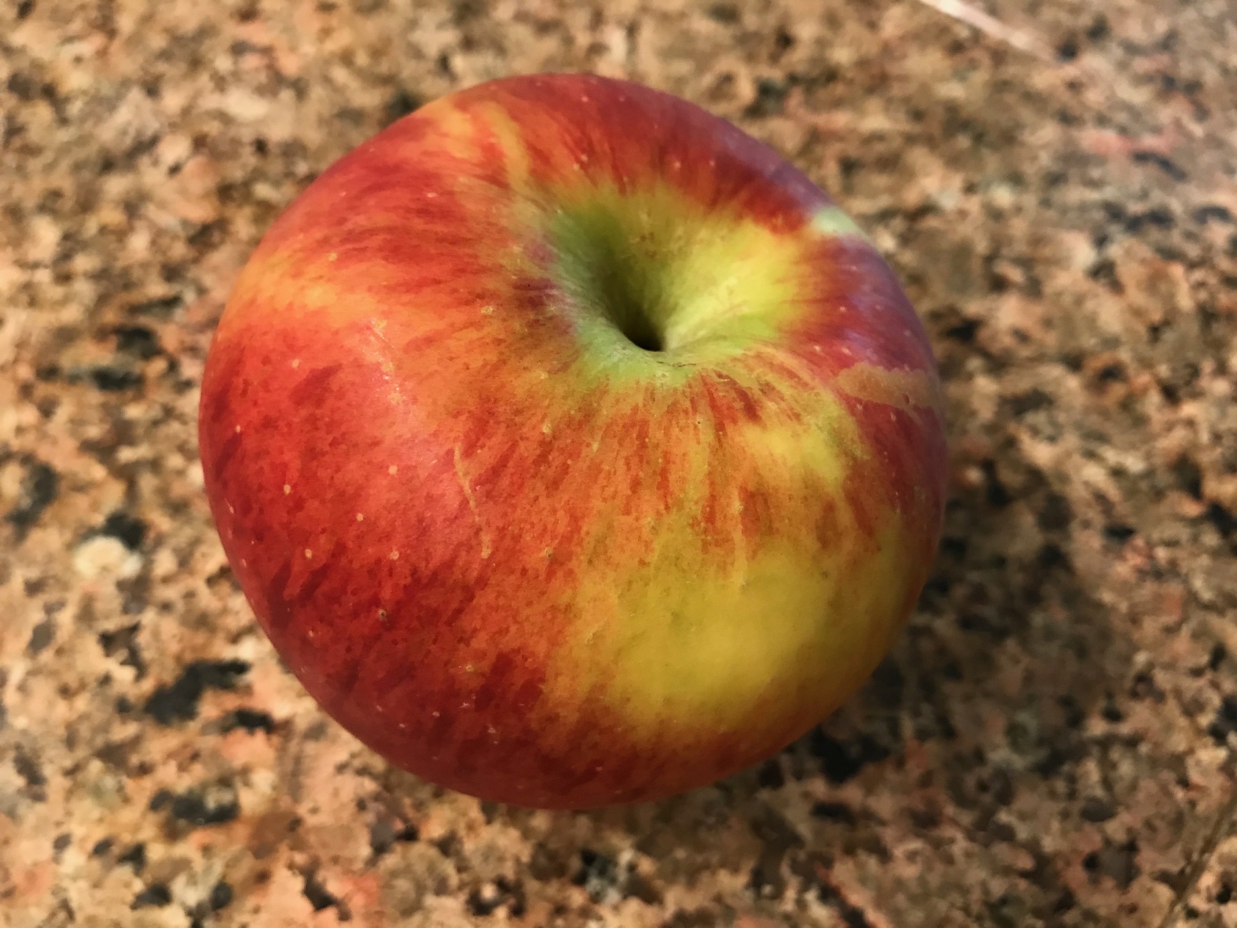 Koru Apple Review Selective Elective