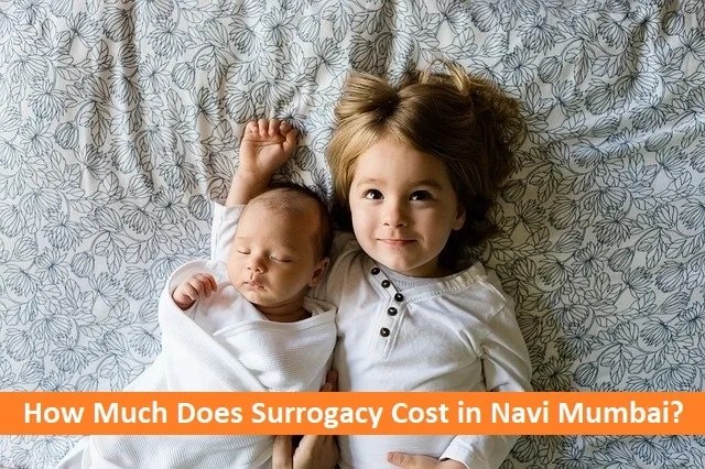 Surrogacy Cost How Much Does Surrogacy Cost In Usa