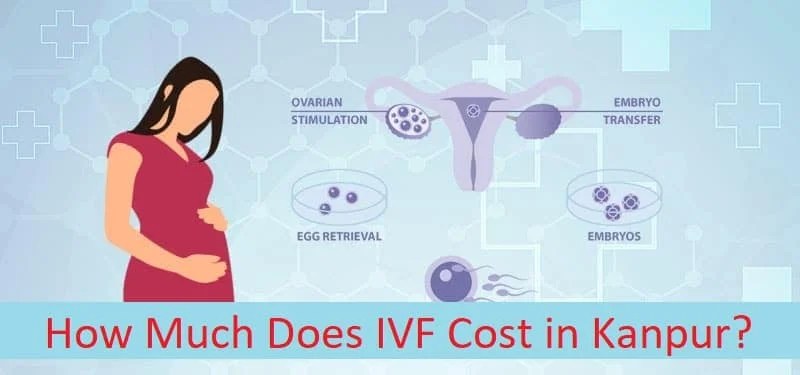 How much Does IVF Treatment Cost in India 2020