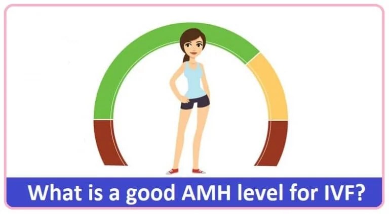 What is a good AMH level for IVF? Select IVF India