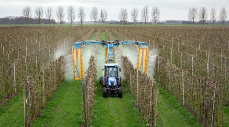 How To Properly Dispose Of Roundup