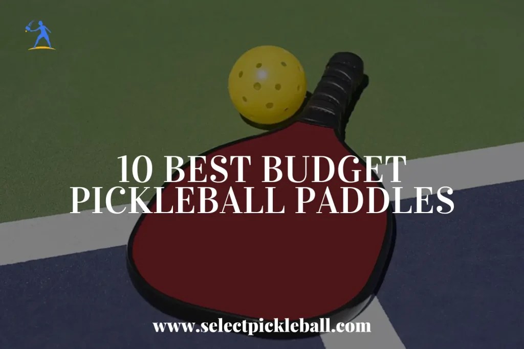 Top 10 Best Budget Pickleball Paddles 2024 Economical Deal