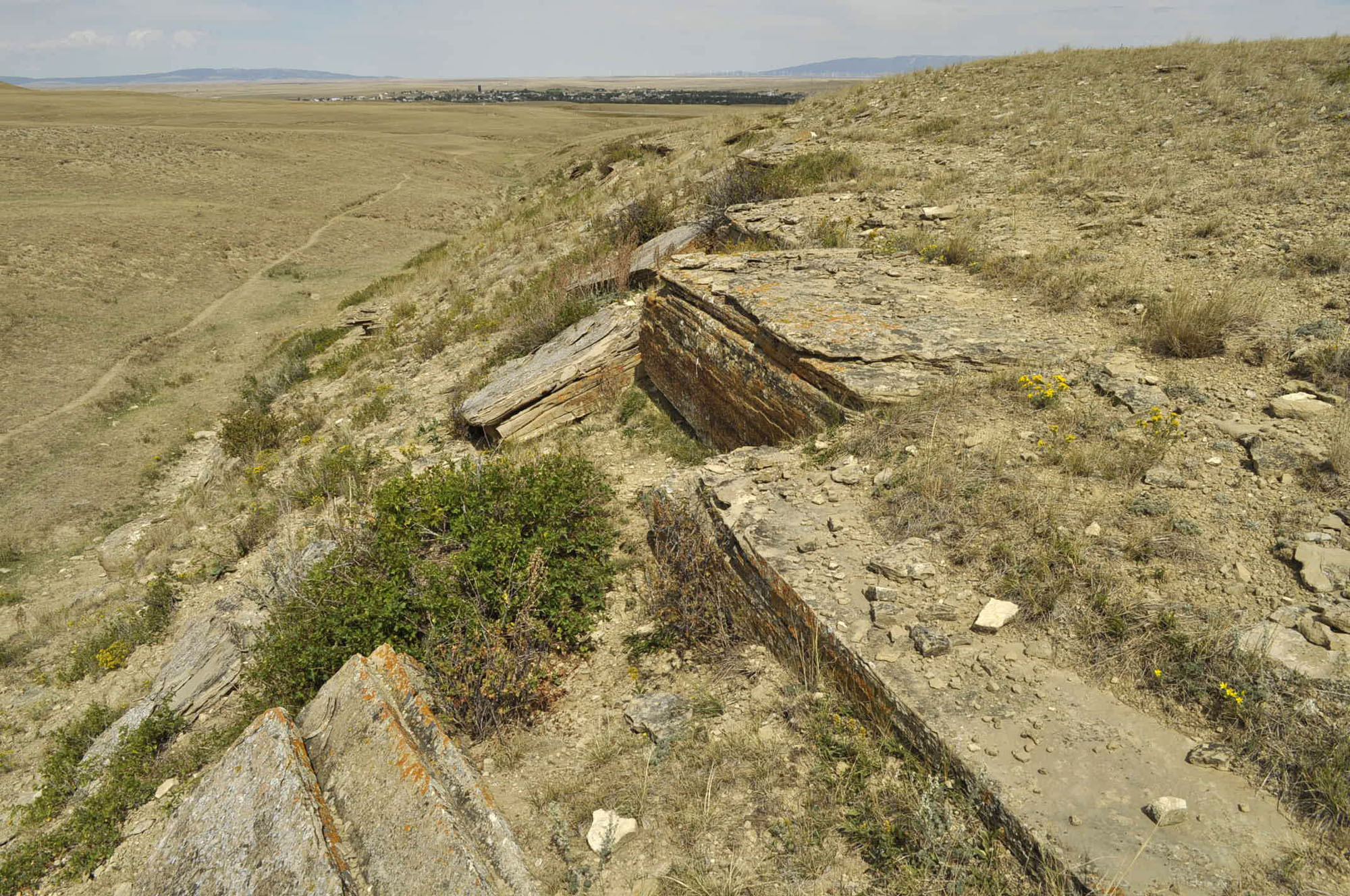 Frontier outcrop 1113 Select Stone