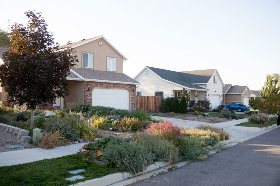 Alice Court SelfHelp Homes