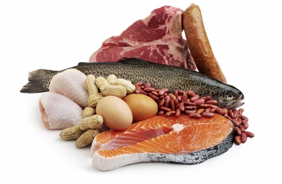 Survival Food Your Ultimate Guide