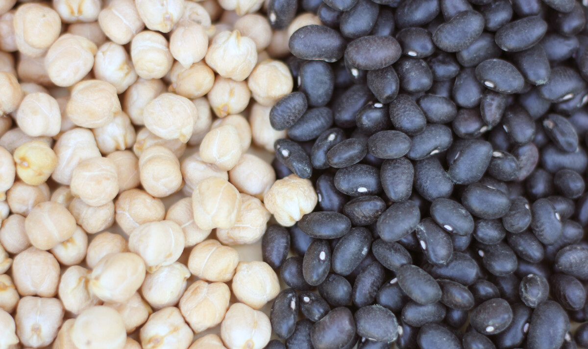 Survival Storage Which Beans Have The Longest Shelf Life? Self