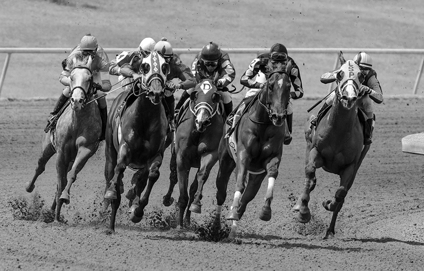 6 Tips For Your Biggest Competitor Sellbrite