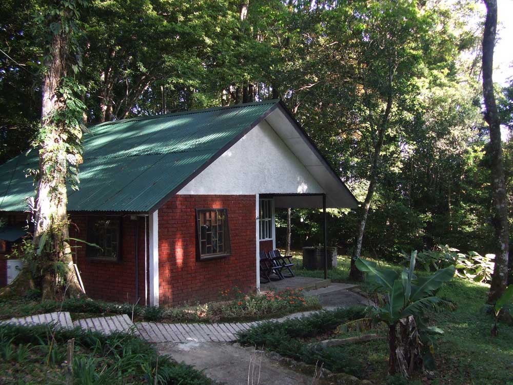 Bungalows Lodging Ecolodge Selva Negra Ecolodge