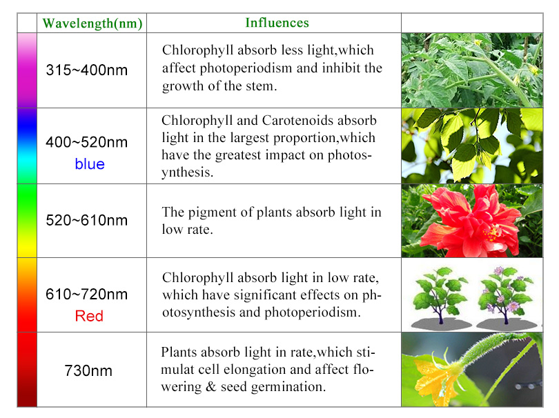 How to Choose LED Grow Lights Seming Lighting