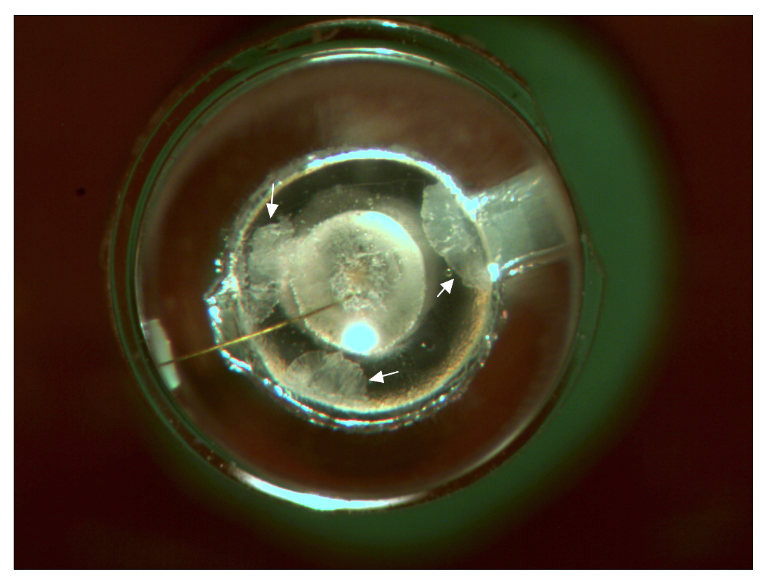 Failure of IR LED 1 SEM Lab Inc.