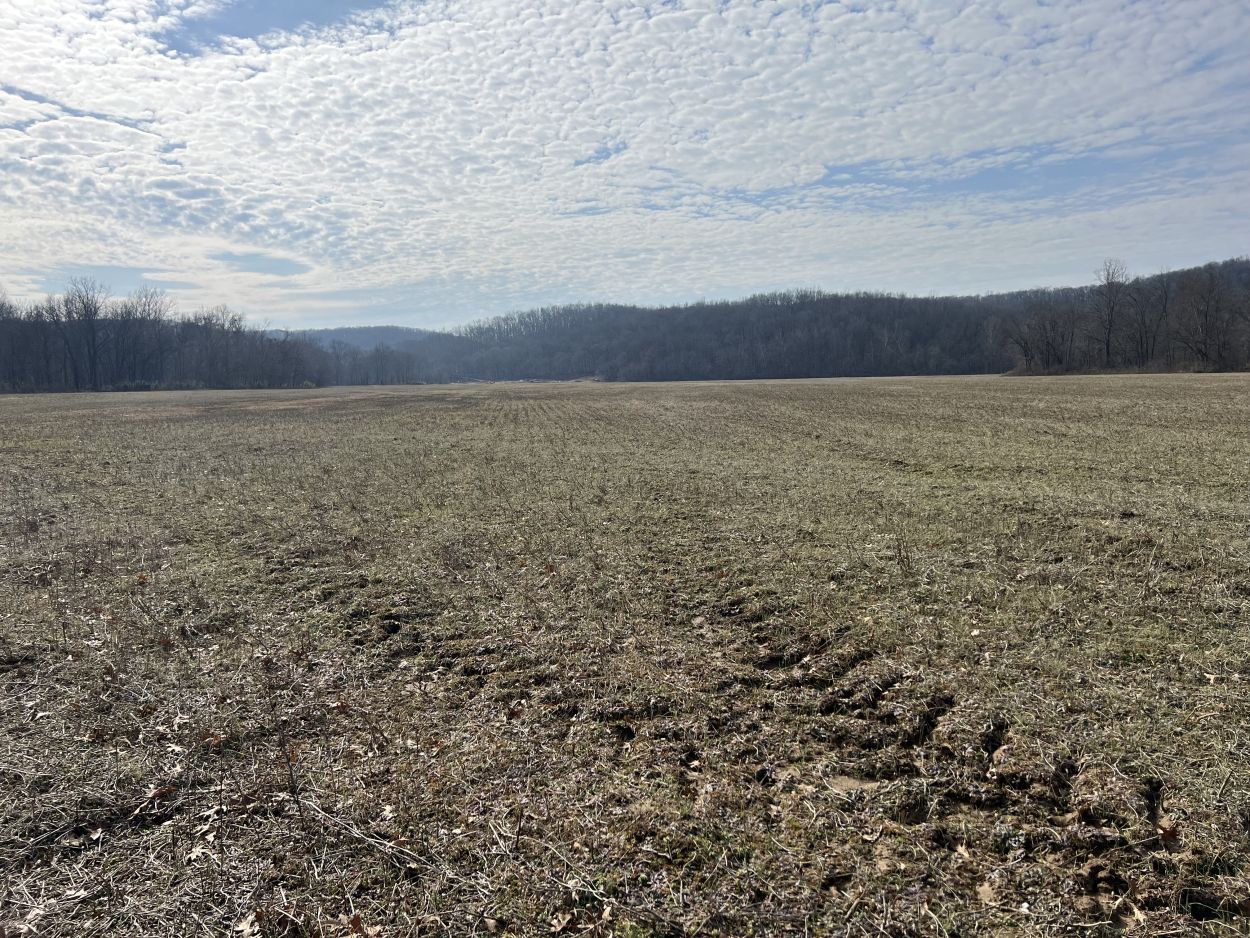 Alcorn Realty Lists County road 733/711, Zalma, MO 63787 481,500