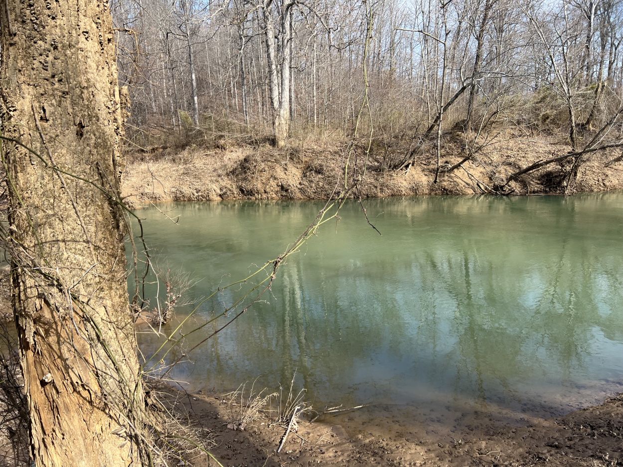 Alcorn Realty Lists County road 733/711, Zalma, MO 63787 481,500