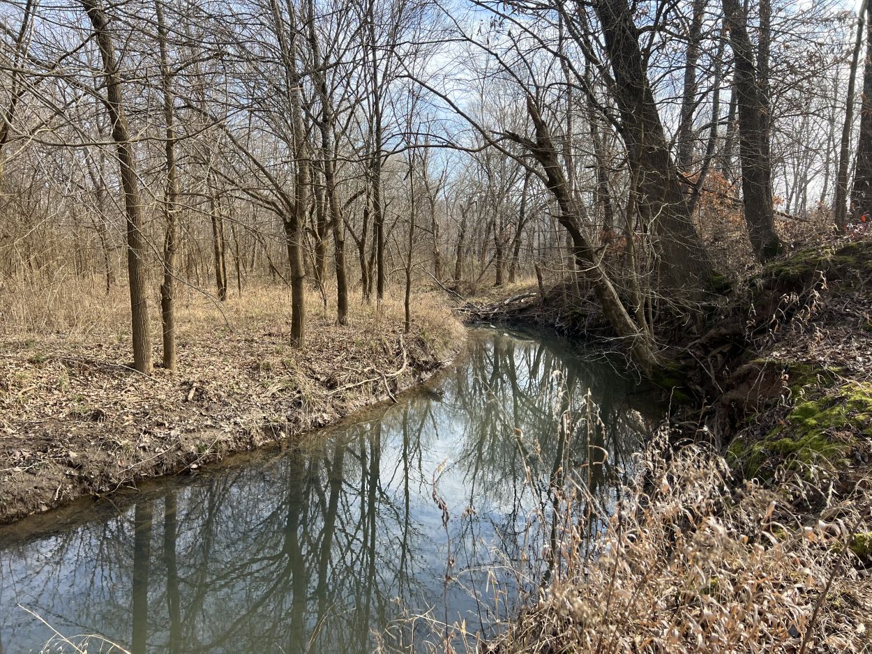 Zalma Mo Real Estate at Lucy Mohler blog