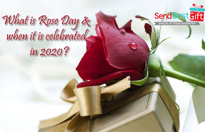 What is Rose Day & when it is celebrated in 2022?
