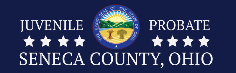 Seneca County Ny Clerks Office 2023 Holiday Schedule Seneca County Juvenile/Probate Court